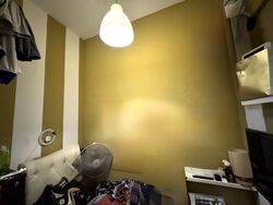 Sims Green (D14), Apartment #477957641